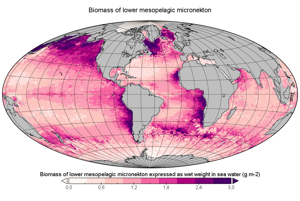 micronekton zooplankton copernicus fisheries